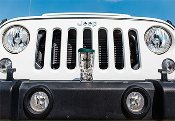 Jeep Drives into Tervis Jeep Drives into Tervis