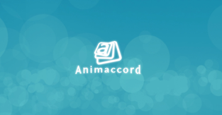 animaccord_1.png