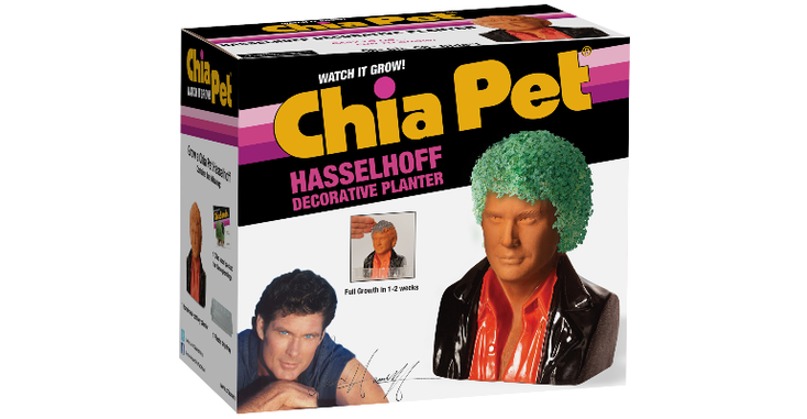 The David Hasselhoff Chia Pet