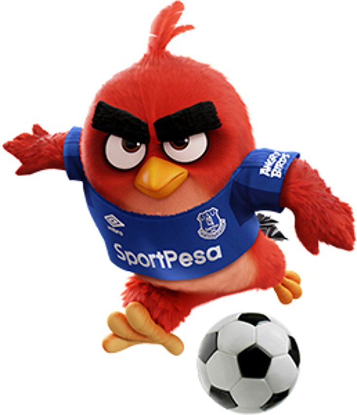 Angry Birds Graces FC Everton Sleeves Angry Birds Graces FC Everton Sleeves