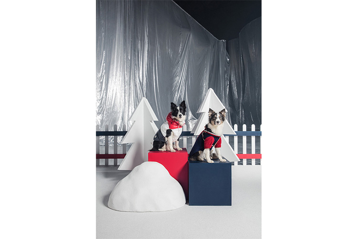 Moncler Crafts Canine Couture