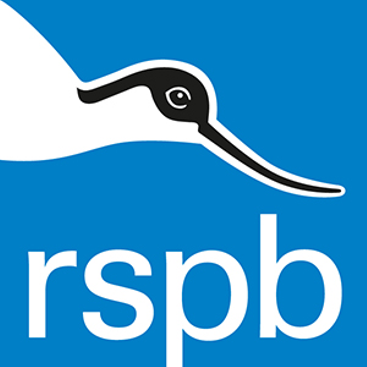 BWI Deals for RSPB Plush Toys