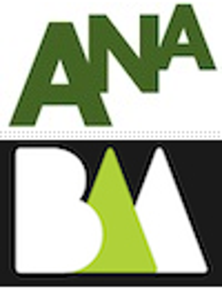ANA to Buy BAA ANA to Buy BAA