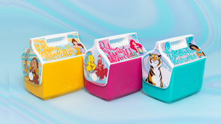 Disney Princess Igloo coolers.