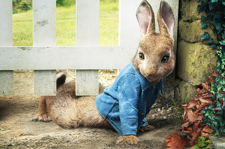 Peter Rabbit Scores Deals for Sequel Peter Rabbit Scores Deals for Sequel