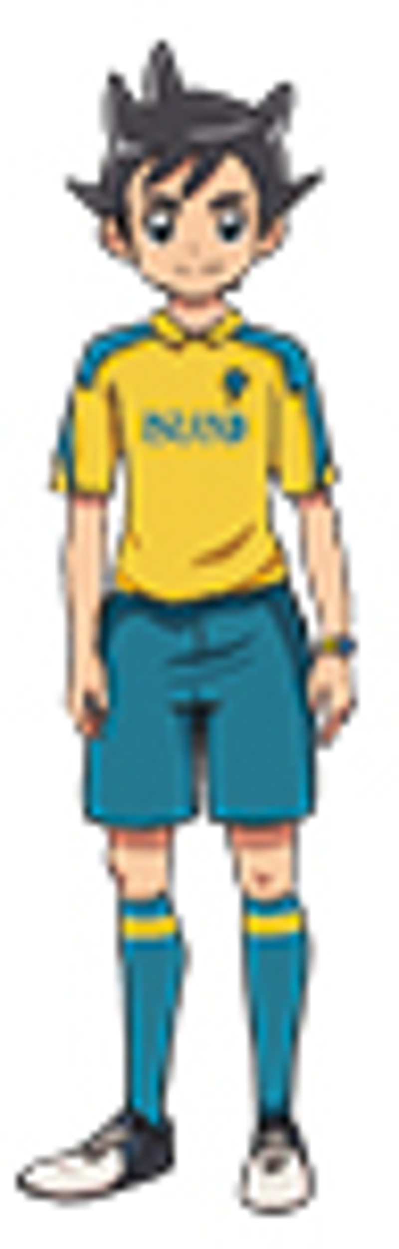 InazumaElevenLevel5.jpg InazumaElevenLevel5.jpg