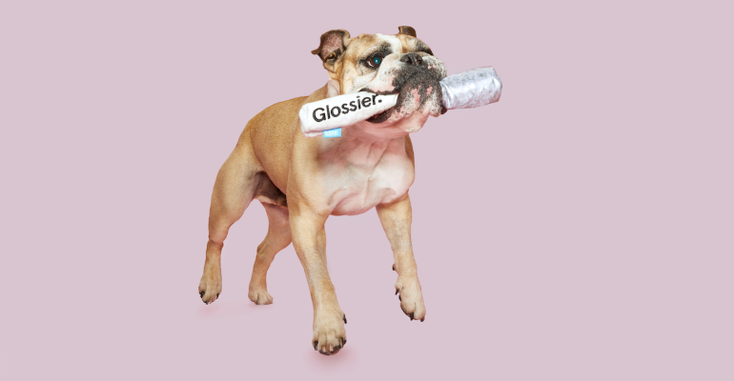 glossierdog.png glossierdog.png