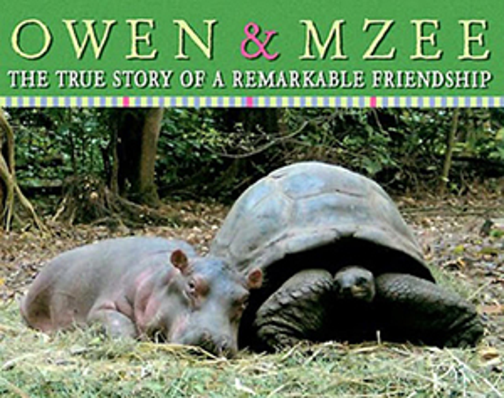 Owen & Mzee to Take the Stage Owen & Mzee to Take the Stage
