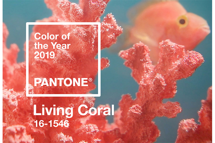 Pantone Picks Color of the Year Pantone Picks Color of the Year