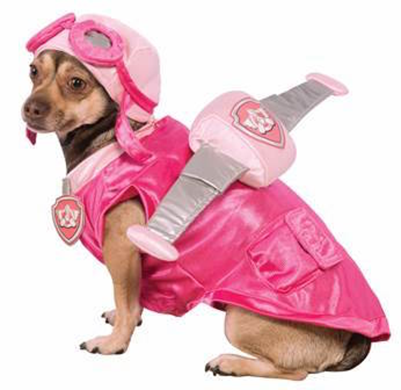 PawPatrolPet2.jpeg PawPatrolPet2.jpeg