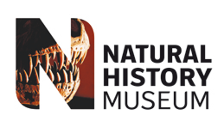 Pretend to Bee Signs National History Deal Pretend to Bee Signs National History Deal