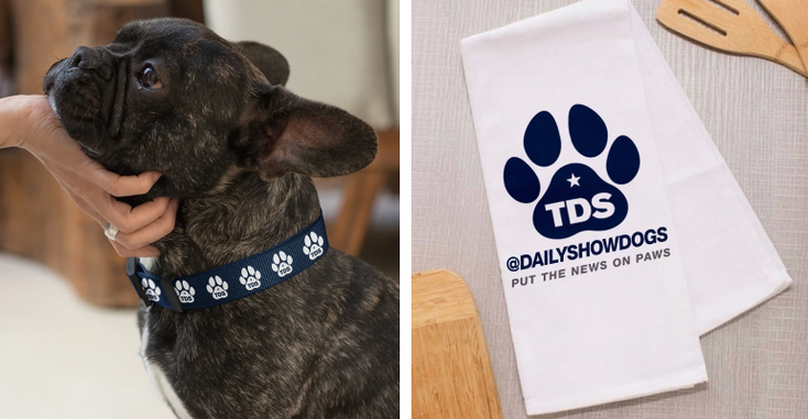 DailyDogs.png DailyDogs.png