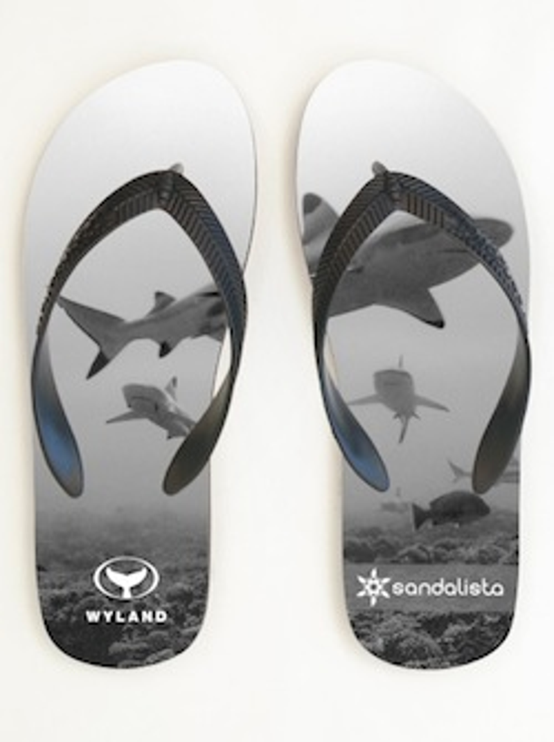 Wyland2.jpg Wyland2.jpg