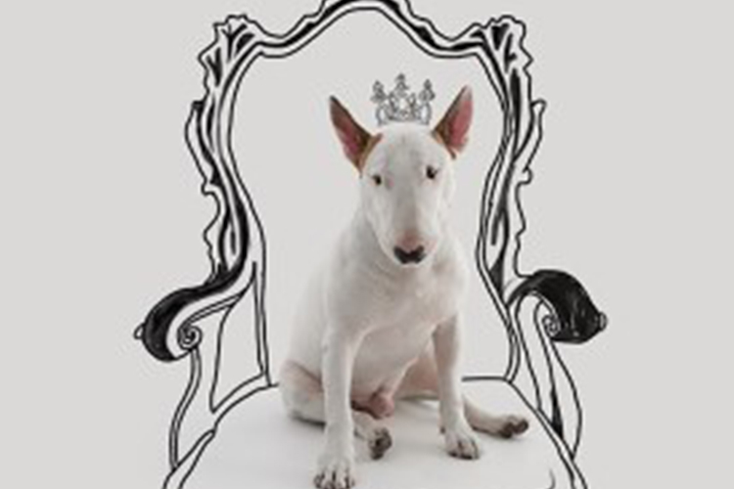 Ask Art Agency Deal for Jimmy the Bull in the U.K. Ask Art Agency Deal for Jimmy the Bull in the U.K.