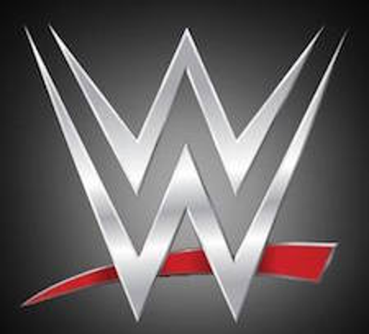WWE Signs for R/C Toys WWE Signs for R/C Toys