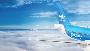 Rendering of the baby blue plane.