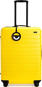 despicable me suitcase