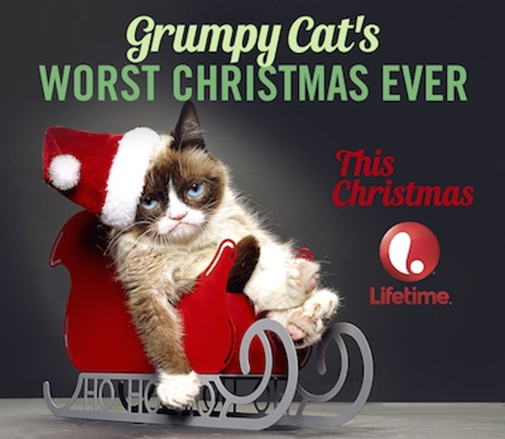 Grumpy Cat to Star in Lifetime Film