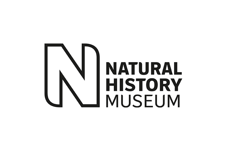 Natural History Museum Crafts Room for Sleep + Eat Natural History Museum Crafts Room for Sleep + Eat