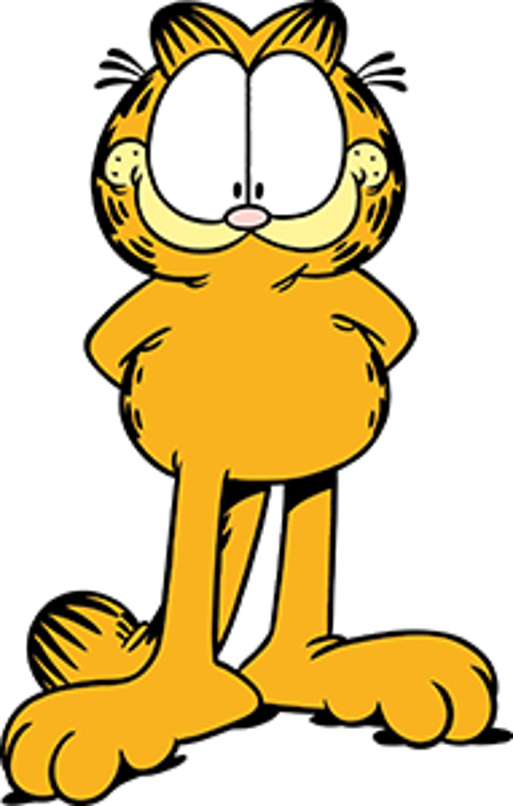 Garfield Gets Socks Licensing