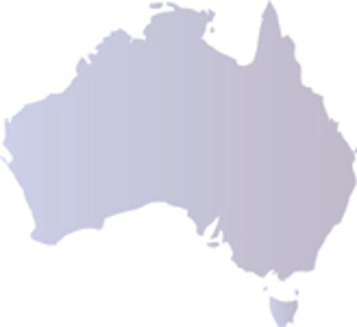 Focus on the Australian Licensing Industry Focus on the Australian Licensing Industry