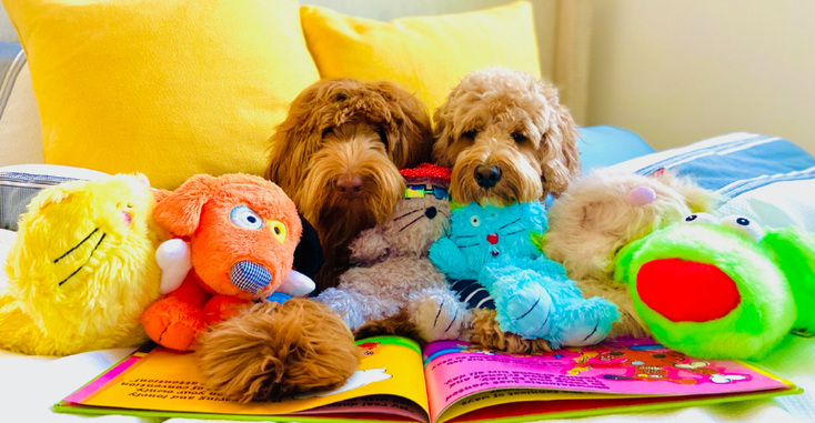 surgepets.png surgepets.png