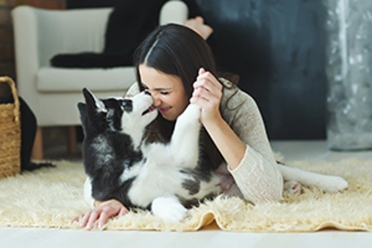 Black + Decker Pet Products are on the Way
