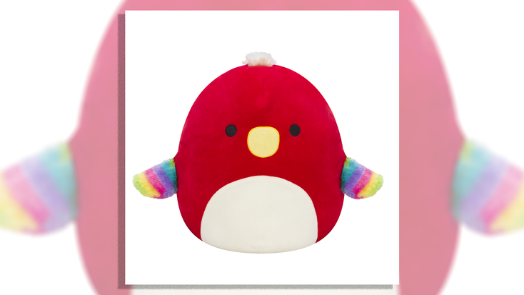 A Squishmallow. A Squishmallow.