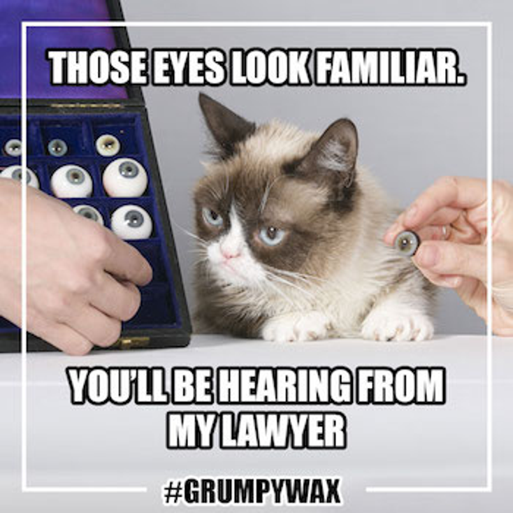 Grumpy Cat to Grace Madame Tussauds