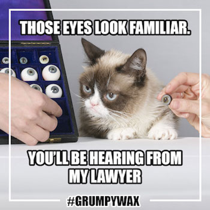 Grumpy Cat to Grace Madame Tussauds Grumpy Cat to Grace Madame Tussauds