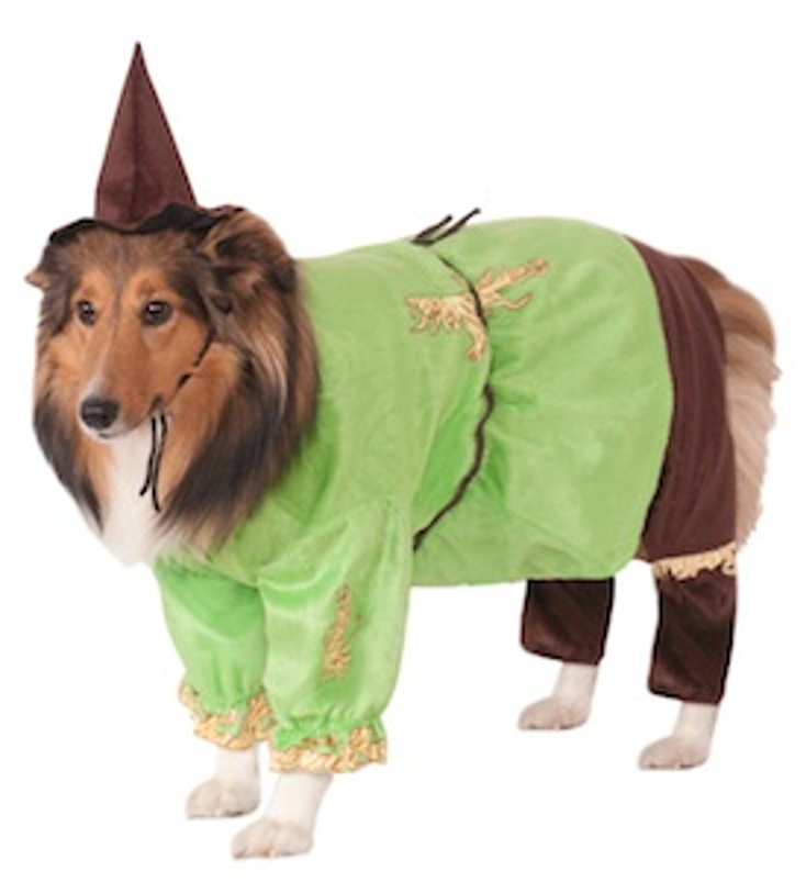 WBCP, Rubie’s Outfit Pets for Oz’s 75th WBCP, Rubie’s Outfit Pets for Oz’s 75th