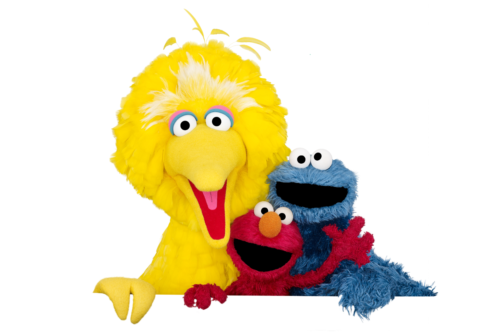 Sesame Street The Adventures Of Elmo In Ground