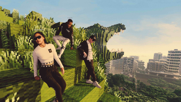 Minecraft x Lacoste Artwork
