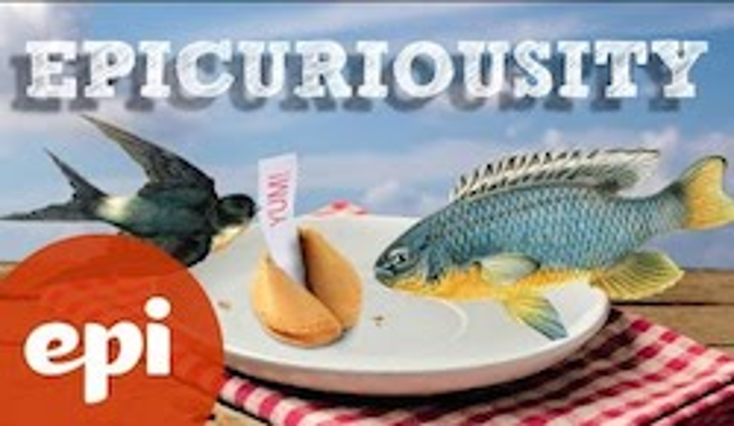 Conde Nast Launches Epicurious Web Channel Conde Nast Launches Epicurious Web Channel