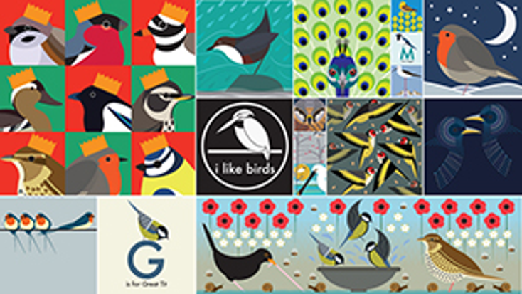 I Like Birds Takes Off with First Licensee I Like Birds Takes Off with First Licensee