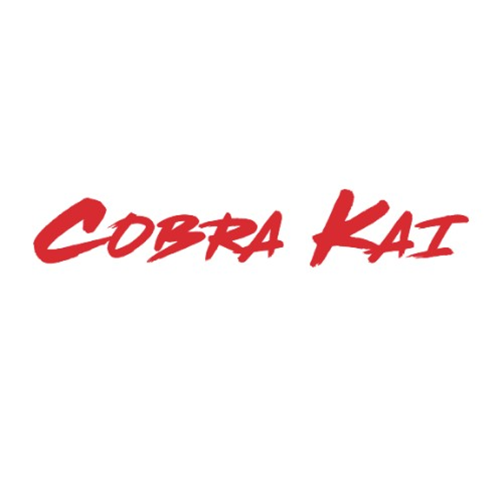 Sony Kicks Off ‘Cobra Kai’ Deals
