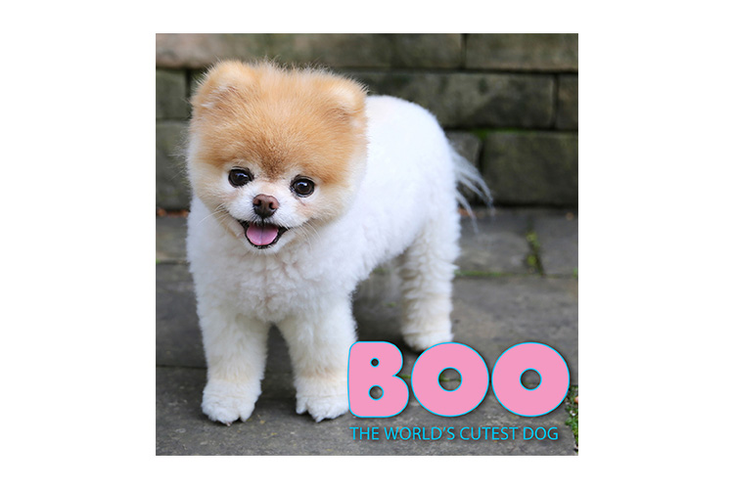 Boo Paws New Deals