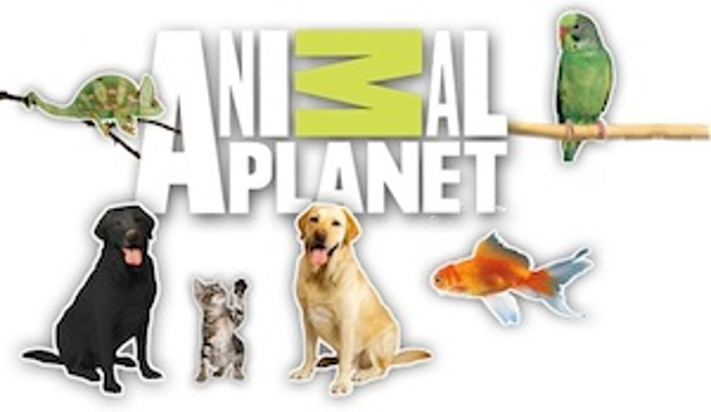 AnimalPlanet_1.jpg AnimalPlanet_1.jpg