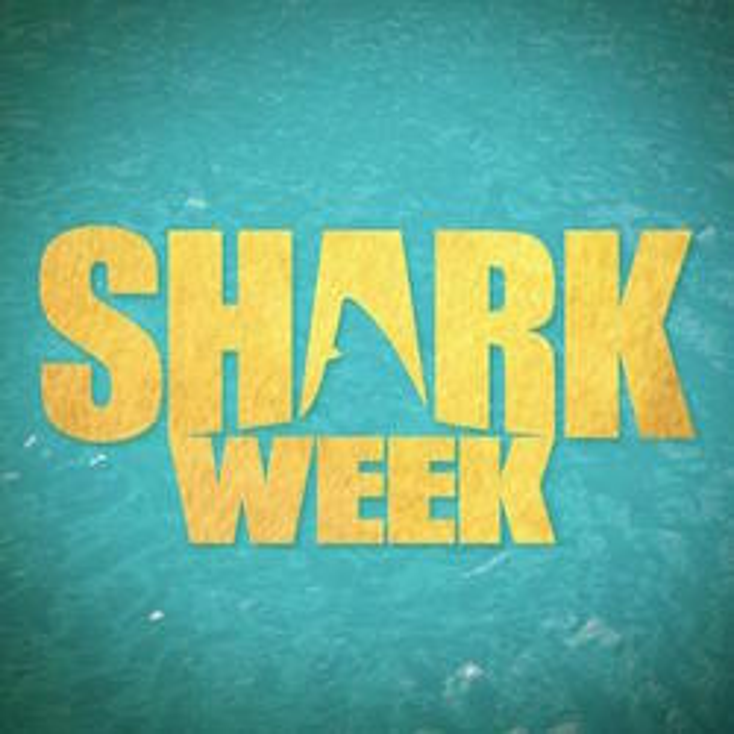 Discovery Streamlines Shark Week Shopping