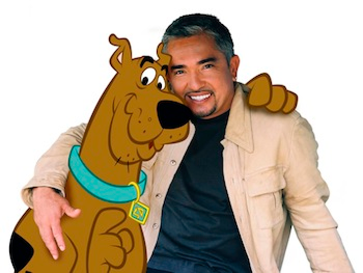 Warner Bros. Partners with Cesar Millan Warner Bros. Partners with Cesar Millan