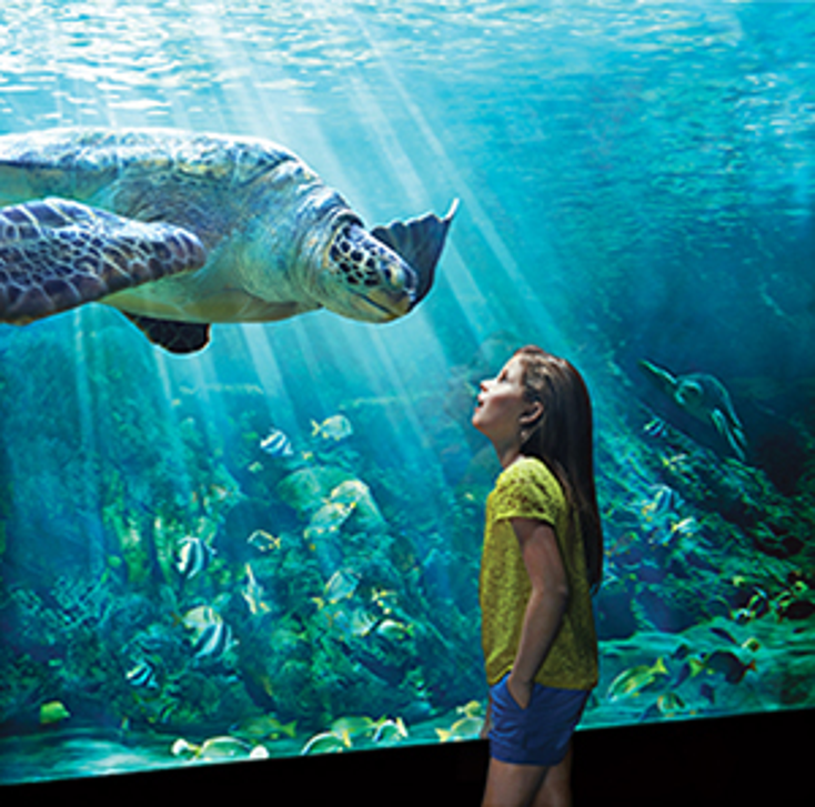 SeaWorld to Splash into Abu Dhabi SeaWorld to Splash into Abu Dhabi