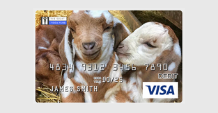 goatcard.png