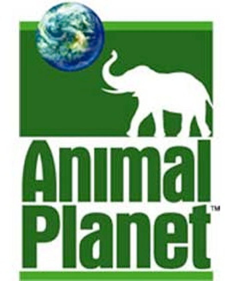 AnimalPlanet_0.jpg AnimalPlanet_0.jpg