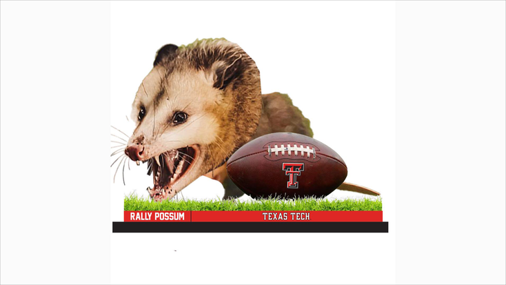 Texas Tech Rally Possum Bobblehead Unveiled License Global