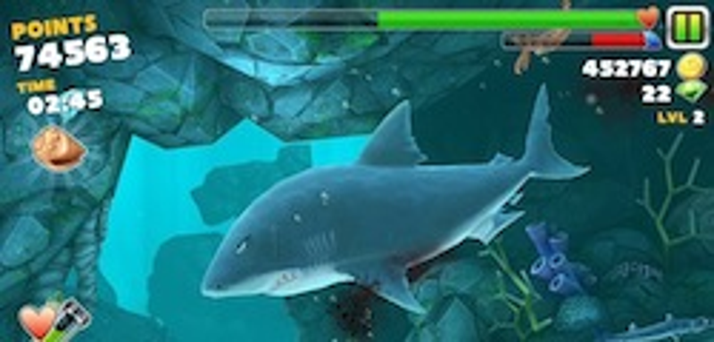 HungryShark_1.jpg HungryShark_1.jpg