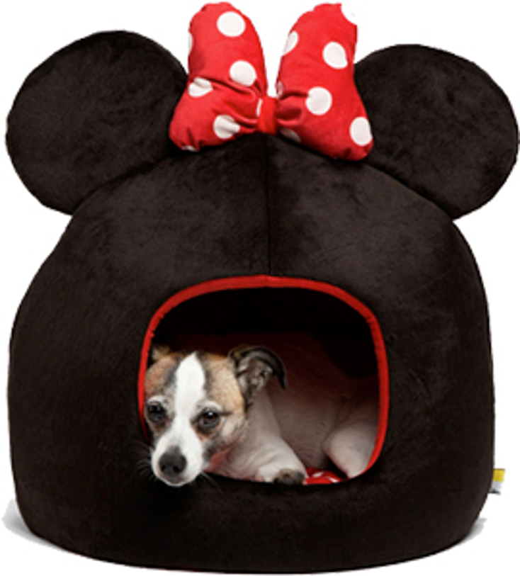 Disney, Marvel Unleash New Pet Products Disney, Marvel Unleash New Pet Products
