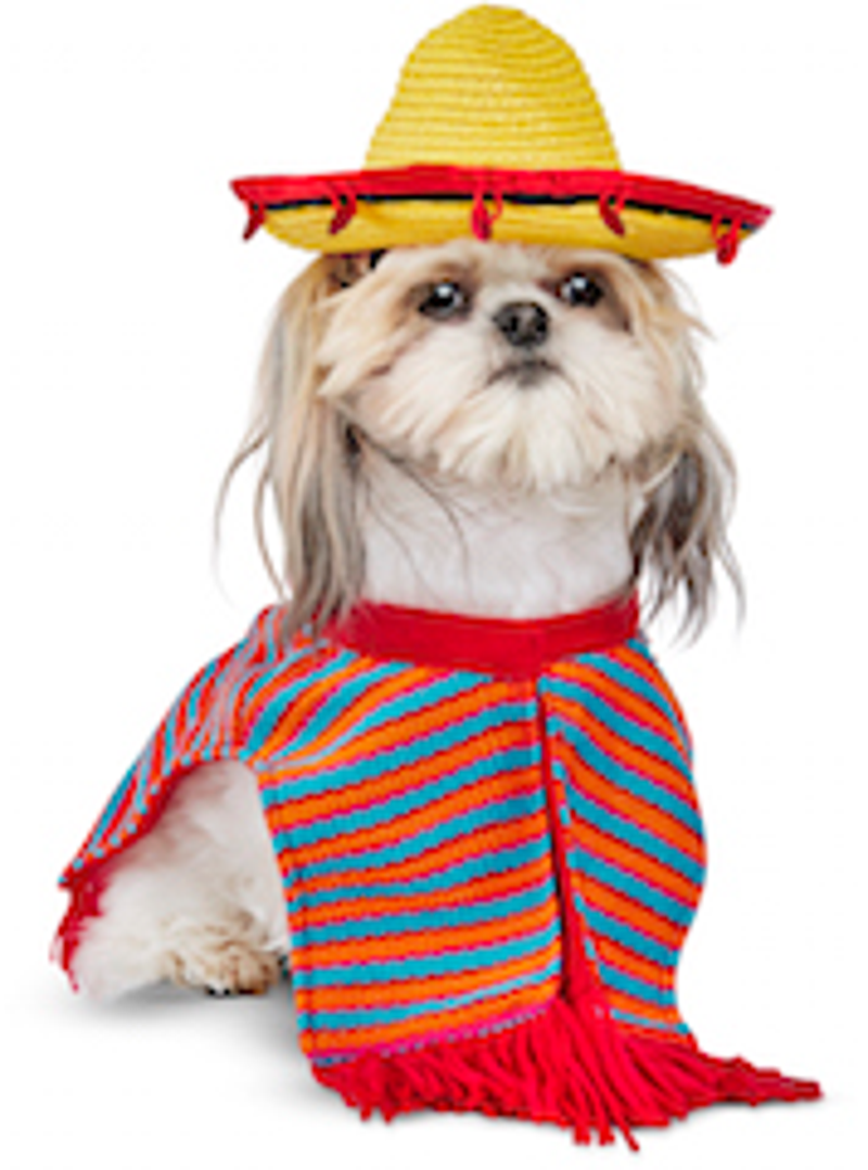 PetcoHall153.jpg PetcoHall153.jpg