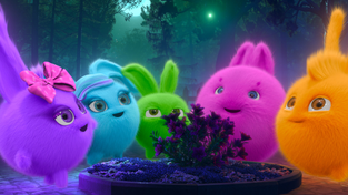 The “Sunny Bunnies.”  