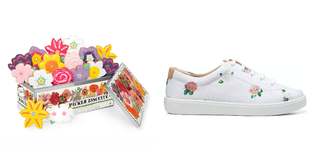 rhsbiscuitshoe.png