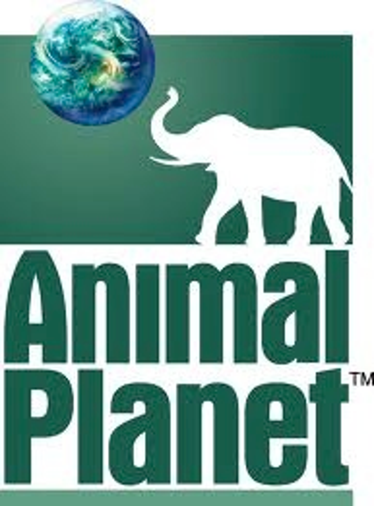 Animal Planet Plans Animal Chews
